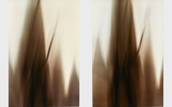 Eine Fotoarbeit des Kunstpreisträgers 2003 Klaus von Gaffron.